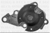 BORG & BECK BWP2342 Water Pump